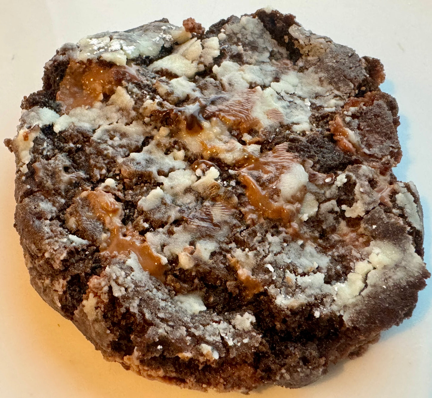 Large Gourmet Cookie
