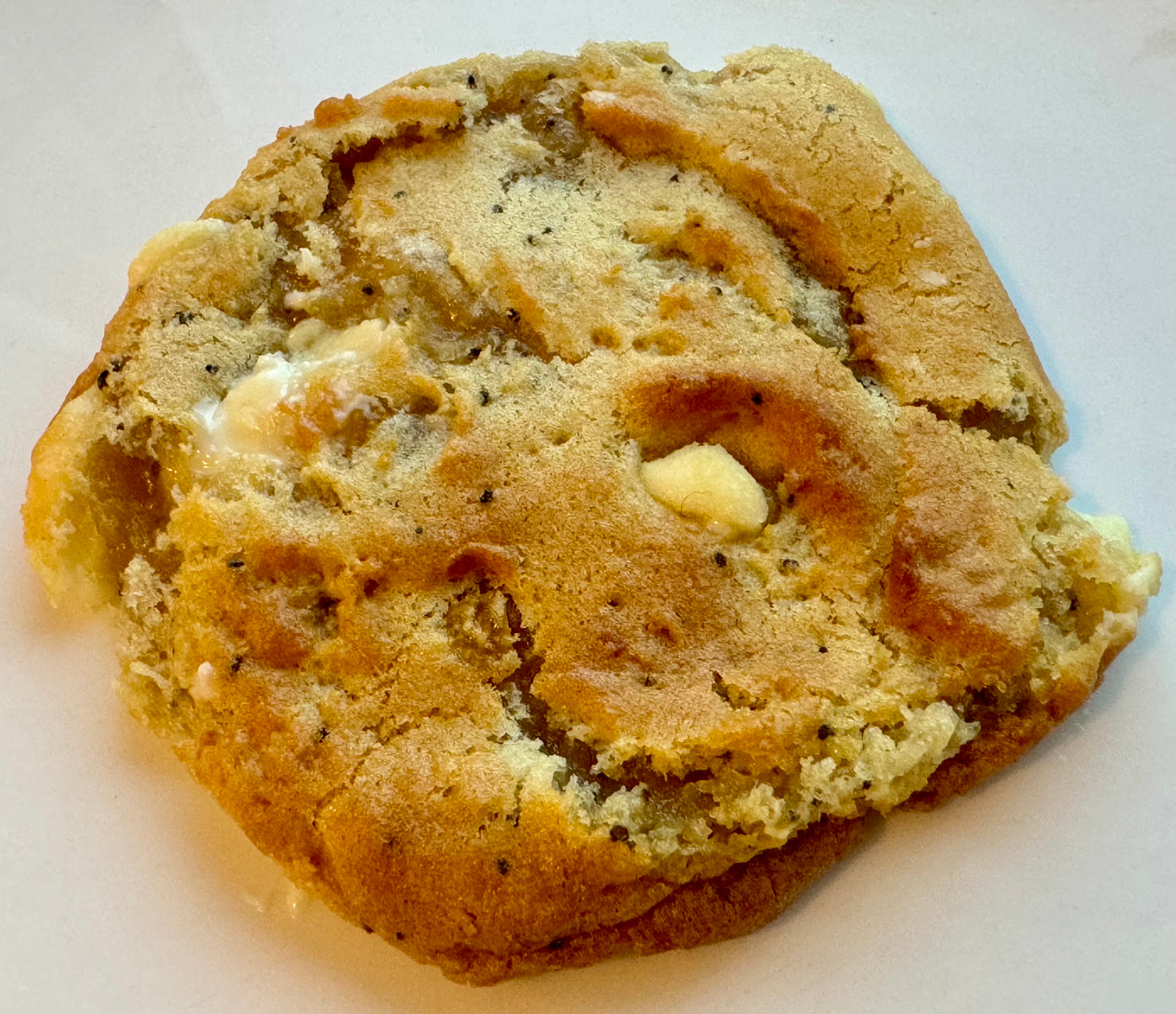 Large Gourmet Cookie